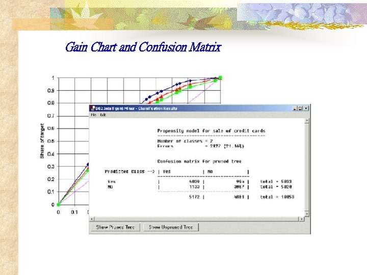 Gain Chart and Confusion Matrix 