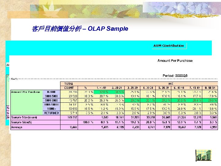 客戶目前價值分析 – OLAP Sample AUM Contribution 