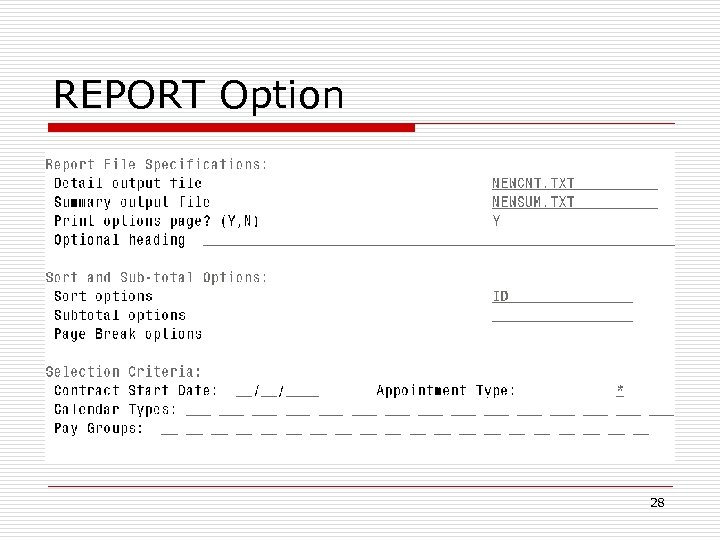 REPORT Option 28 