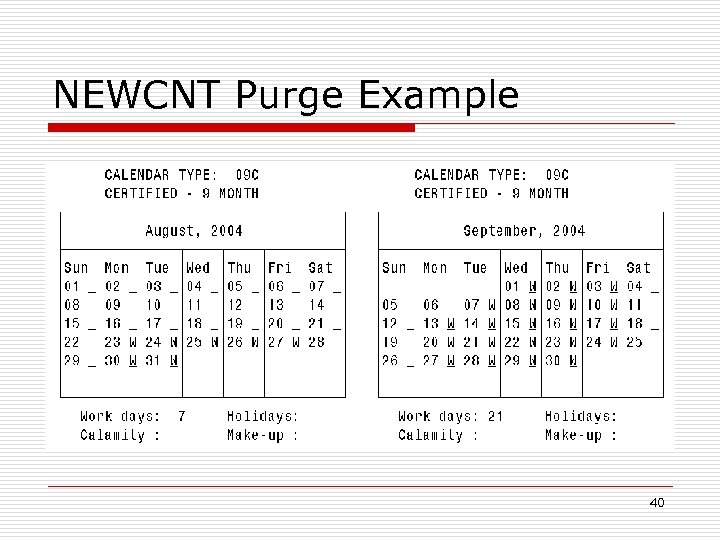 NEWCNT Purge Example 40 