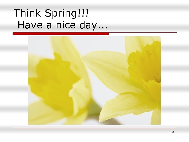 Think Spring!!! Have a nice day. . . 61 