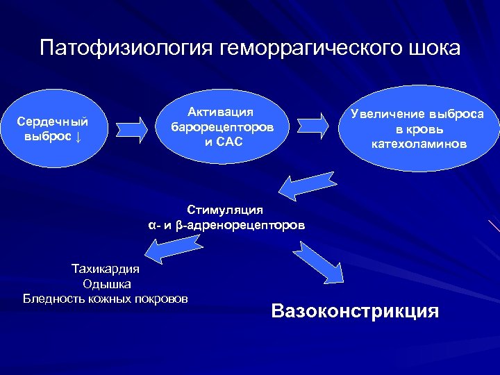 Патофизиология геморрагического шока Сердечный выброс ↓ Активация барорецепторов и САС Увеличение выброса в кровь