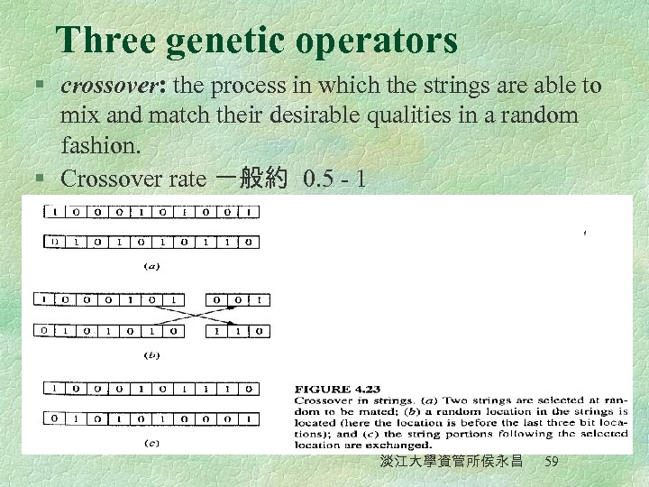 Three genetic operators § crossover: the process in which the strings are able to