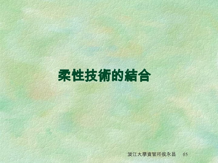柔性技術的結合 淡江大學資管所侯永昌 65 