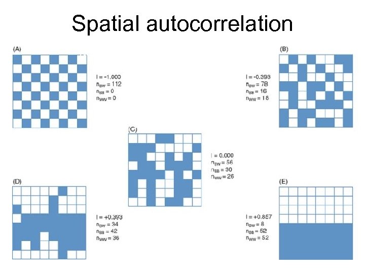 Spatial autocorrelation Negative Dispersed Spatial Independence Spatial Clustering Positive 