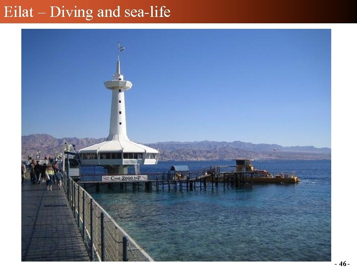 Eilat – Diving and sea-life - 46 - 