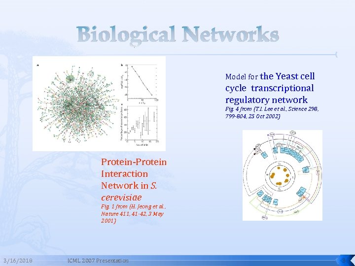 Biological Networks Model for the Yeast cell cycle transcriptional regulatory network Fig. 4 from