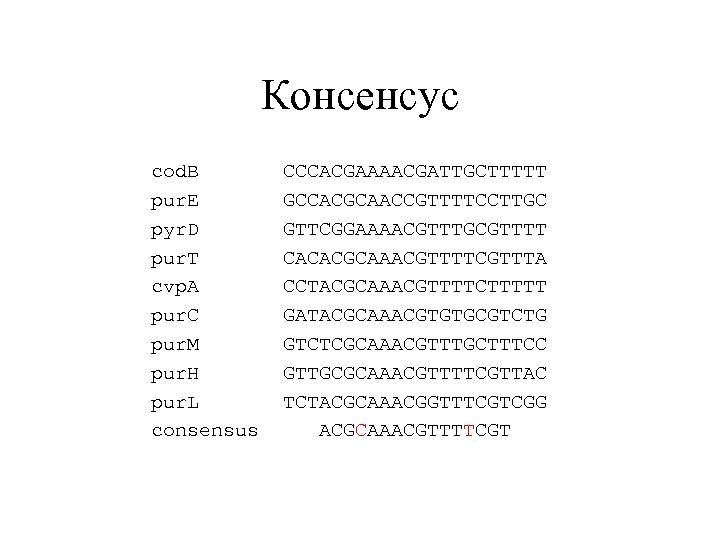 Консенсус cod. B CCCACGAAAACGATTGCTTTTT pur. E GCCACGCAACCGTTTTCCTTGC pyr. D GTTCGGAAAACGTTTGCGTTTT pur. T CACACGCAAACGTTTTCGTTTA cvp.