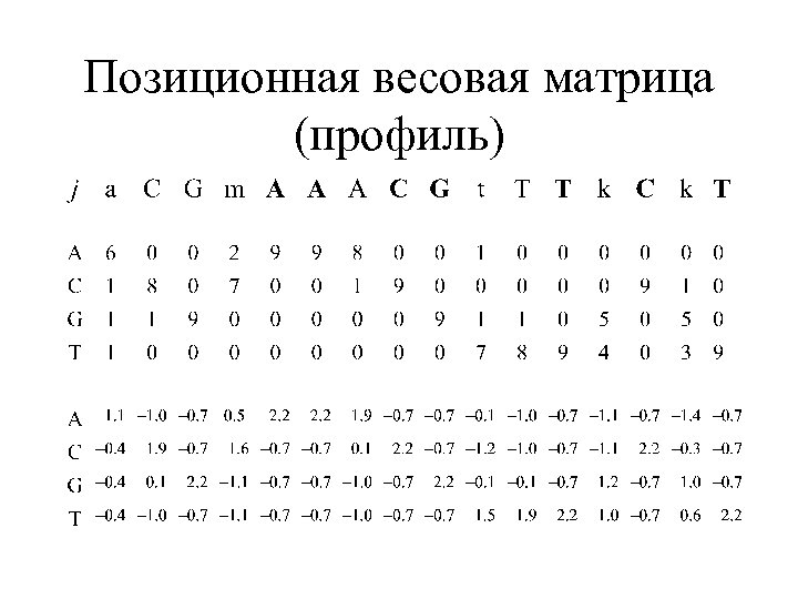 Позиционная весовая матрица (профиль) 