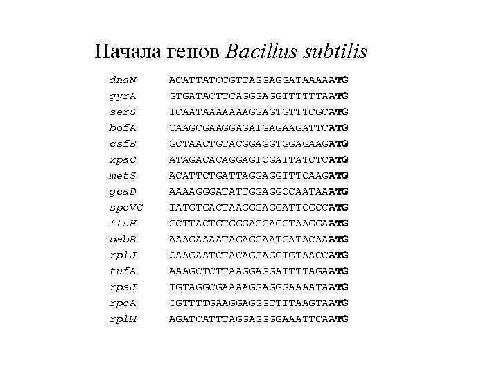 Начала генов Bacillus subtilis dna. N ACATTATCCGTTAGGAGGATAAAAATG gyr. A GTGATACTTCAGGGAGGTTTTTTAATG ser. S TCAATAAAAAAAGGAGTGTTTCGCATG bof.