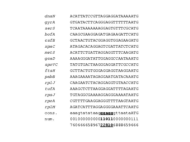 dna. N ACATTATCCGTTAGGAGGATAAAAATG gyr. A GTGATACTTCAGGGAGGTTTTTTAATG ser. S TCAATAAAAAAAGGAGTGTTTCGCATG bof. A CAAGCGAAGGAGATGAGAAGATTCATG csf. B