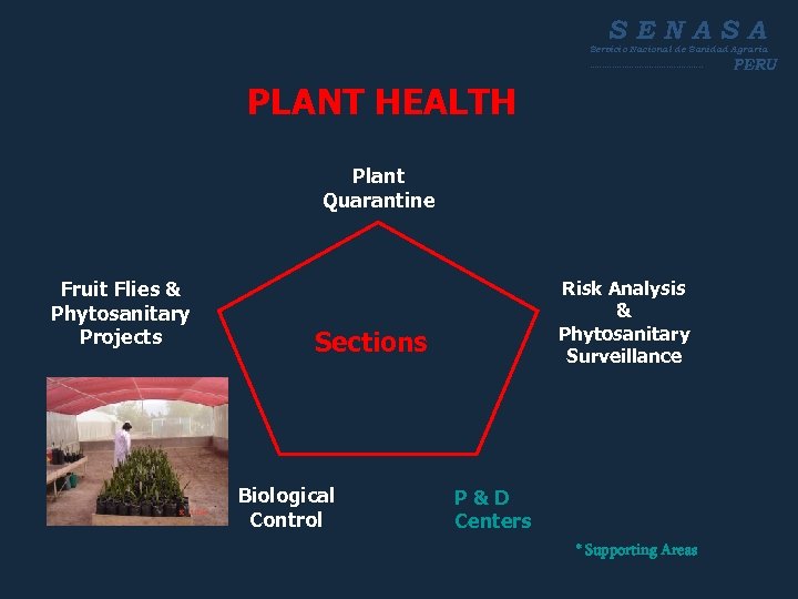 SENASA Servicio Nacional de Sanidad Agraria ----------------------- PLANT HEALTH Plant Quarantine Fruit Flies &
