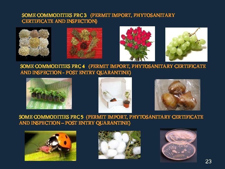 SOME COMMODITIES PRC 3 (PERMIT IMPORT, PHYTOSANITARY CERTIFICATE AND INSPECTION) SOME COMMODITIES PRC 4
