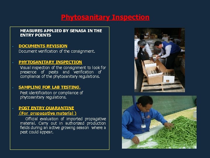 Phytosanitary Inspection MEASURES APPLIED BY SENASA IN THE ENTRY POINTS DOCUMENTS REVISION Document verification