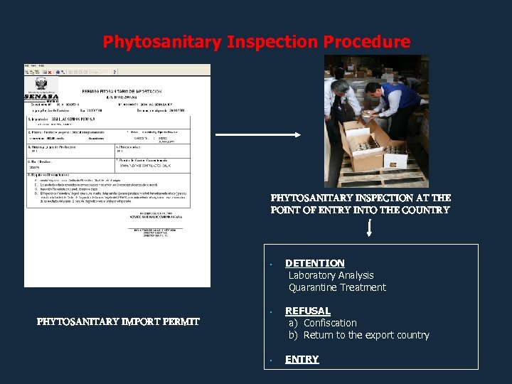 Phytosanitary Inspection Procedure PHYTOSANITARY INSPECTION AT THE POINT OF ENTRY INTO THE COUNTRY •