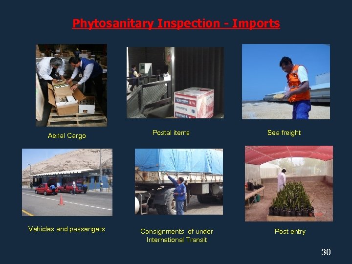 Phytosanitary Inspection - Imports Aerial Cargo Vehicles and passengers Postal items Consignments of under