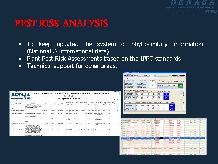 SENASA Servicio Nacional de Sanidad Agraria ----------------------- PERU PEST RISK ANALYSIS • To keep