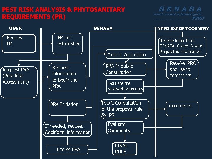 PEST RISK ANALYSIS & PHYTOSANITARY REQUIREMENTS (PR) • USER Request PR • SENASA PR