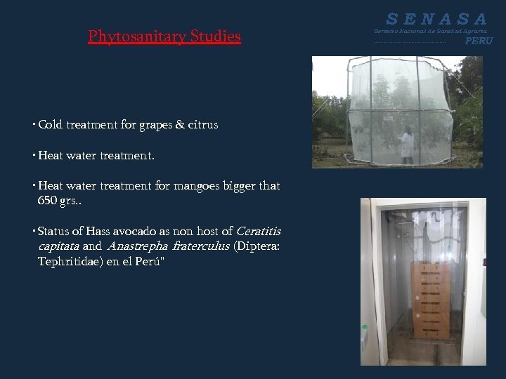 Phytosanitary Studies • Cold treatment for grapes & citrus • Heat water treatment for