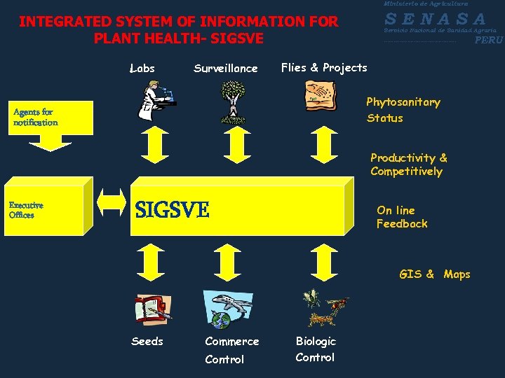 Ministerio de Agricultura SENASA INTEGRATED SYSTEM OF INFORMATION FOR PLANT HEALTH- SIGSVE Labs Surveillance