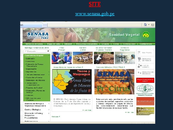 SITE www. senasa. gob. pe 
