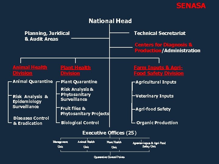 SENASA National Head Planning, Juridical & Audit Areas Technical Secretariat Centers for Diagnosis &