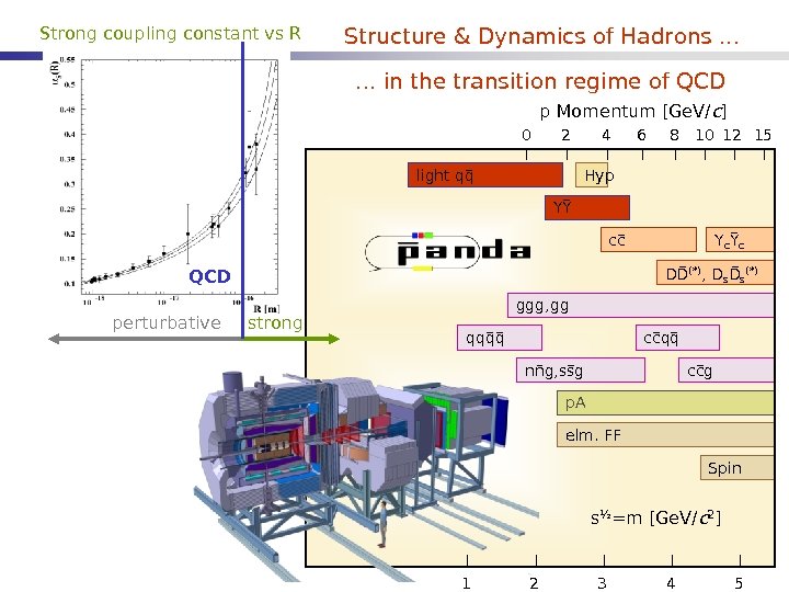 Strong coupling constant vs R Structure & Dynamics of Hadrons. . . in the