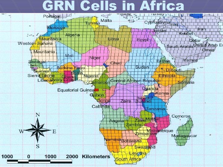 GRN Cells in Africa 