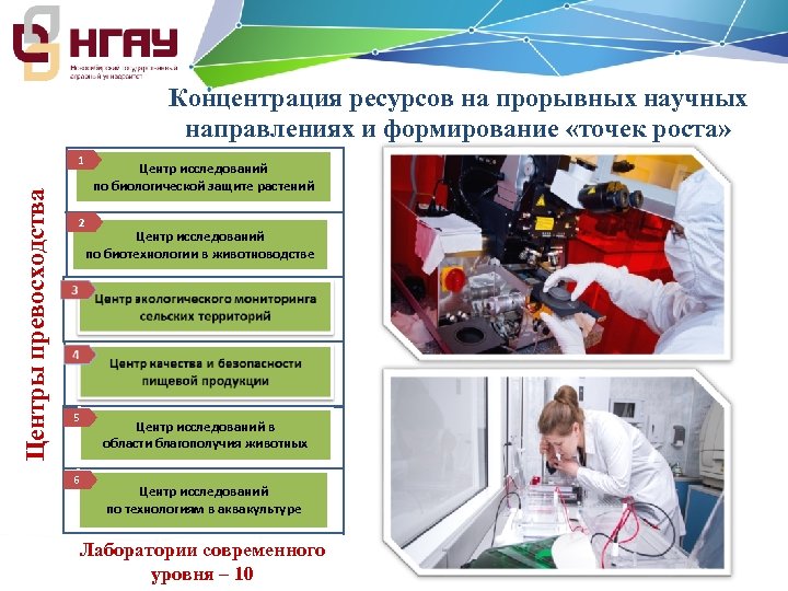 Концентрация ресурсов на прорывных научных направлениях и формирование «точек роста» Центры превосходства 1 2