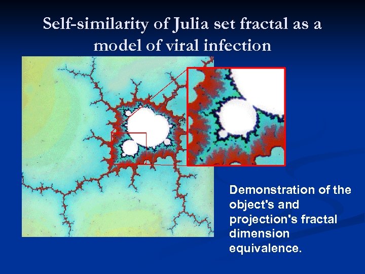 Self-similarity of Julia set fractal as a model of viral infection Demonstration of the