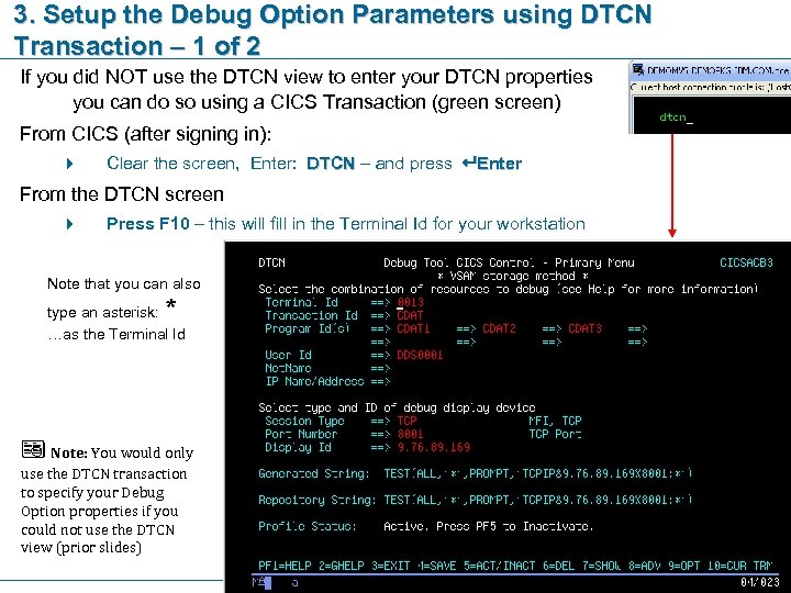 3. Setup the Debug Option Parameters using DTCN Transaction – 1 of 2 If