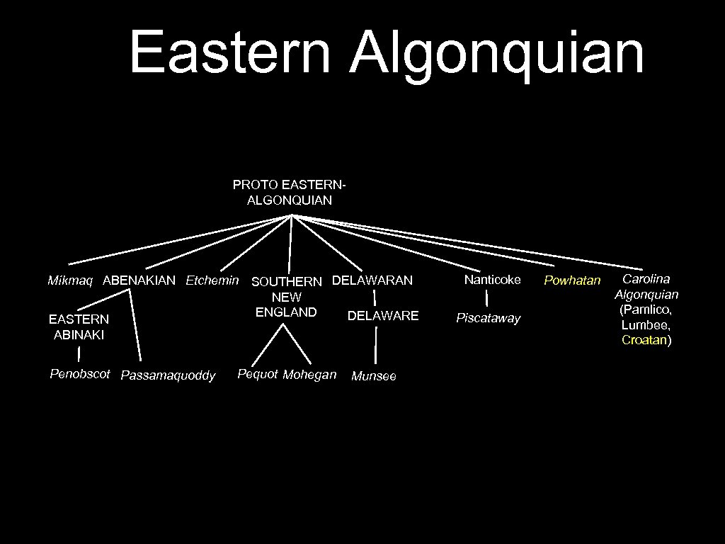 Eastern Algonquian PROTO EASTERNALGONQUIAN Míkmaq ABENAKIAN Etchemin SOUTHERN DELAWARAN NEW ENGLAND DELAWARE EASTERN ABINAKI