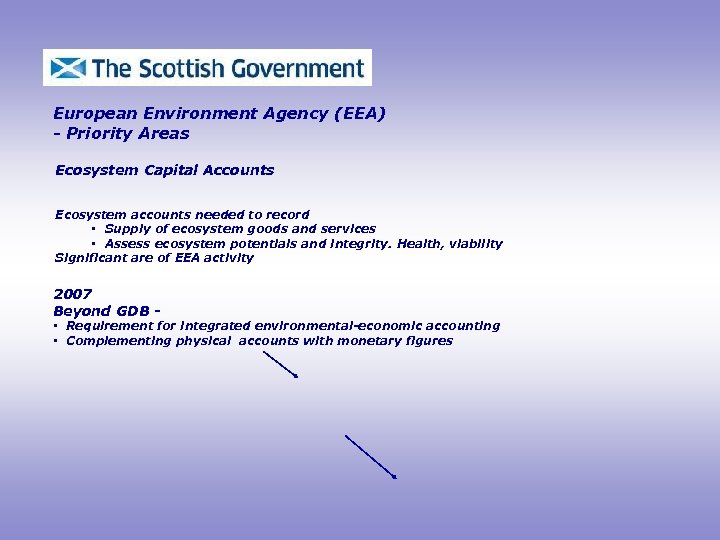 European Environment Agency (EEA) - Priority Areas Ecosystem Capital Accounts Ecosystem accounts needed to