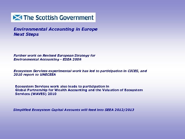 Environmental Accounting in Europe Next Steps Further work on Revised European Strategy for Environmental