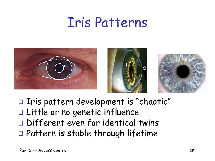 Iris Patterns Iris pattern development is “chaotic” q Little or no genetic influence q