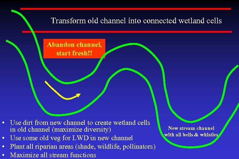 Transform old channel into connected wetland cells Abandon channel, start fresh!! • Use dirt