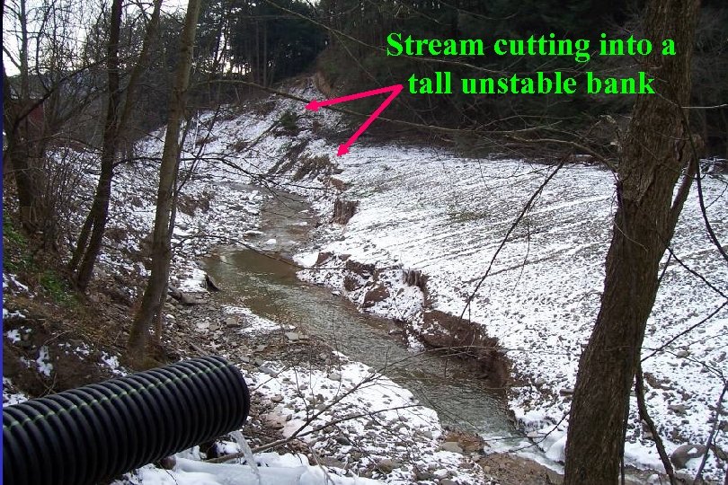 Stream cutting into a tall unstable bank 