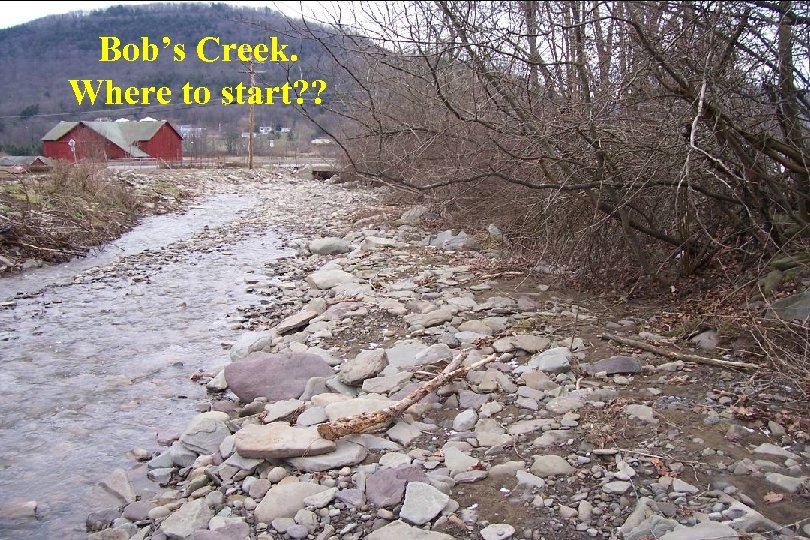 Bob’s Creek. Where to start? ? 
