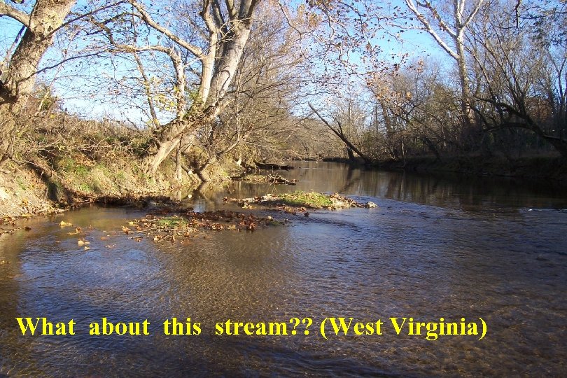 What about this stream? ? (West Virginia) 