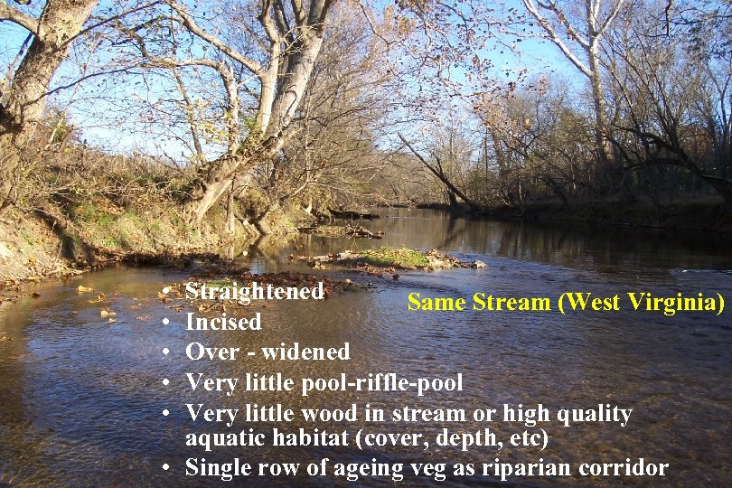 • • • Straightened Same Stream (West Virginia) Incised Over - widened Very