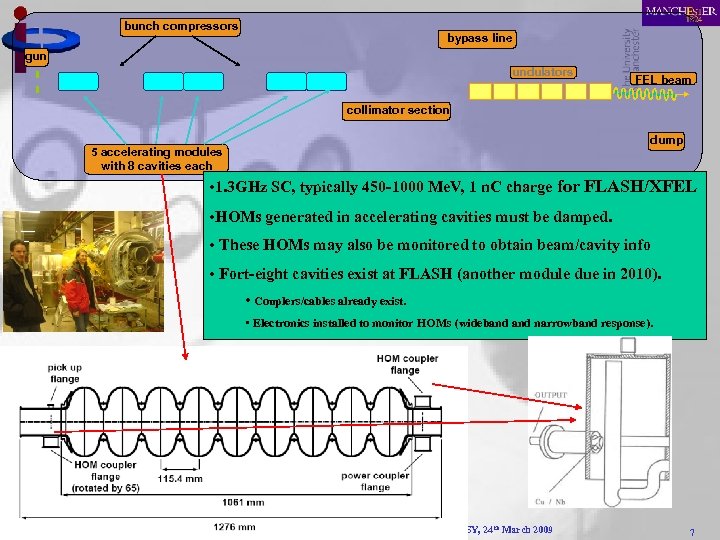 bunch compressors bypass line gun undulators FEL beam collimator section dump 5 accelerating modules