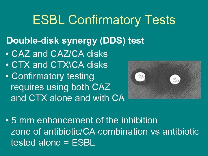 ESBL Confirmatory Tests Double-disk synergy (DDS) test • CAZ and CAZ/CA disks • CTX