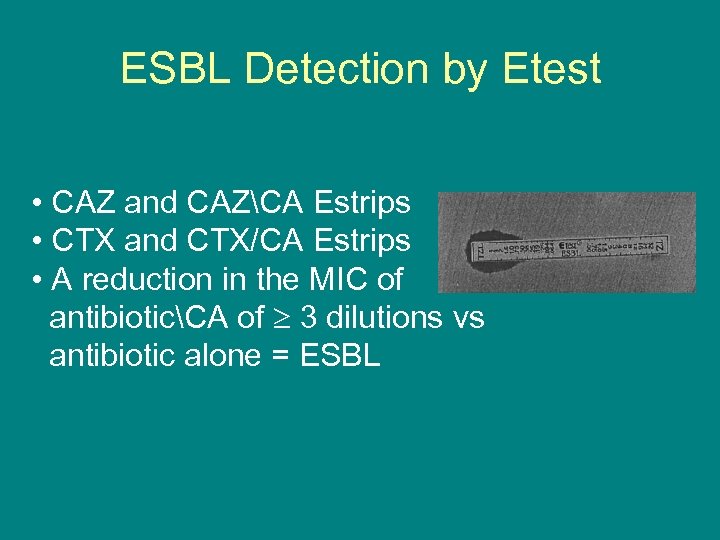 ESBL Detection by Etest • CAZ and CAZCA Estrips • CTX and CTX/CA Estrips