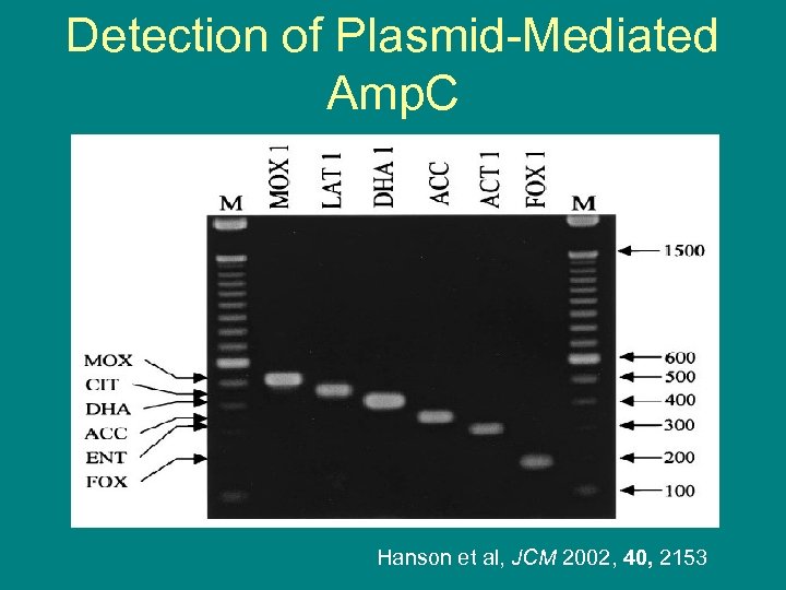 Detection of Plasmid-Mediated Amp. C Hanson et al, JCM 2002, 40, 2153 