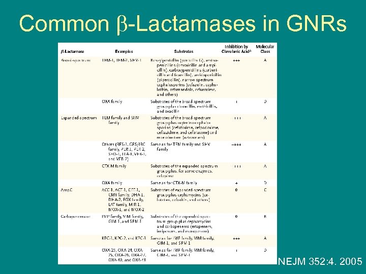 Common -Lactamases in GNRs NEJM 352: 4. 2005 