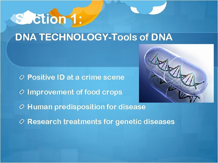 Section 1: DNA TECHNOLOGY-Tools of DNA Positive ID at a crime scene Improvement of
