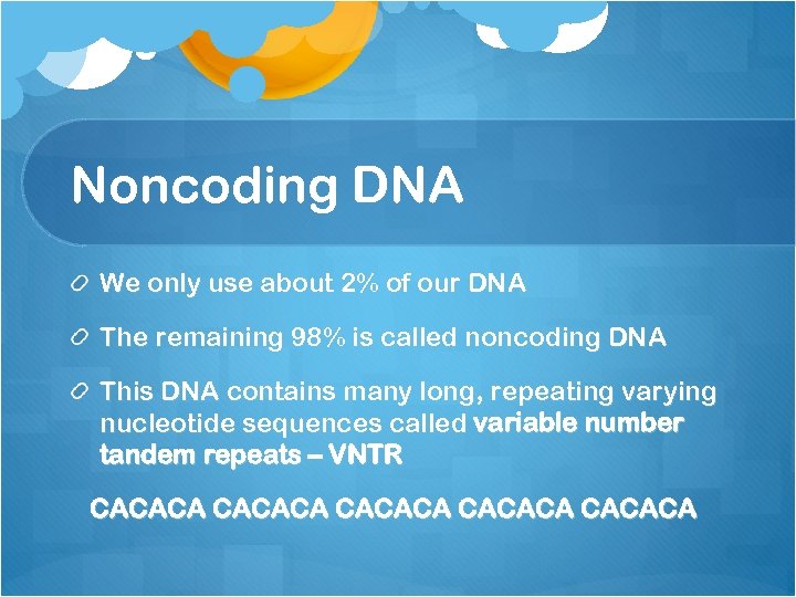 Noncoding DNA We only use about 2% of our DNA The remaining 98% is