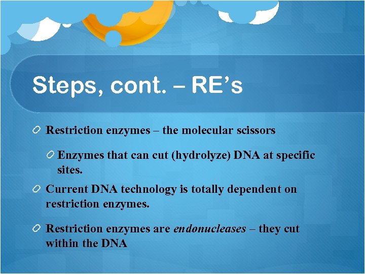 Steps, cont. – RE’s Restriction enzymes – the molecular scissors Enzymes that can cut