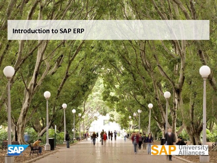 Introduction to SAP ERP 