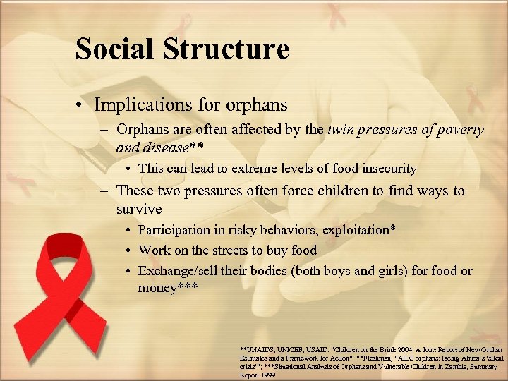 Social Structure • Implications for orphans – Orphans are often affected by the twin